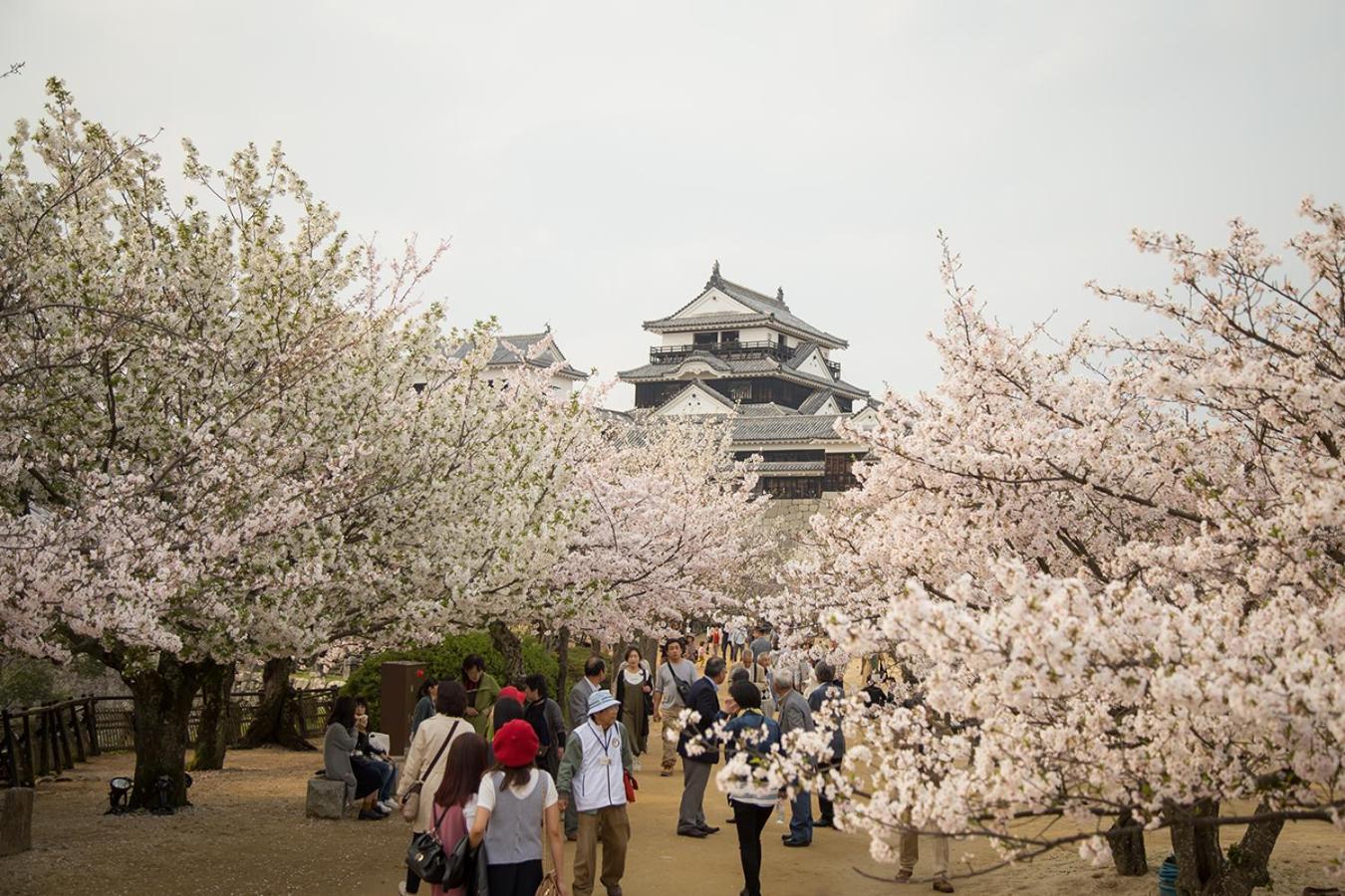 Dougoyado Kita * Matsuyama (Ehime)
